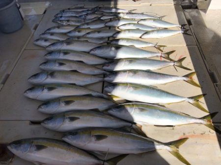 大雄丸 釣果