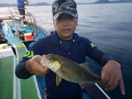 丸万釣船 釣果