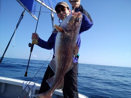 ひな丸 釣果