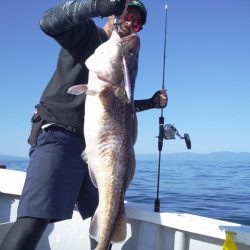 ひな丸 釣果