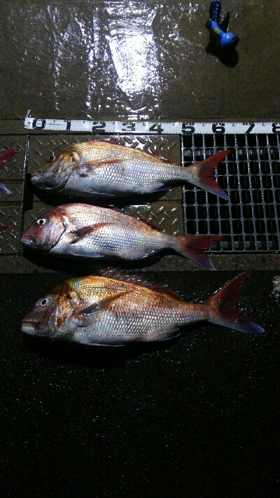 雨風のなか