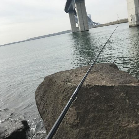 安定です 東京 若洲海浜公園 シーバス クロダイ チヌ 陸っぱり 釣り 魚釣り 釣果情報サイト カンパリ