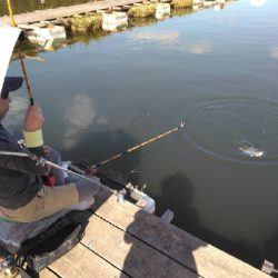 新松池管理釣り場
