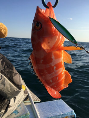 マイボートでタイラバ釣行