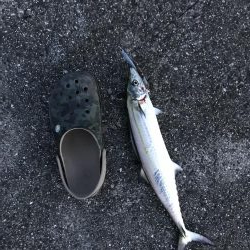 台風前に