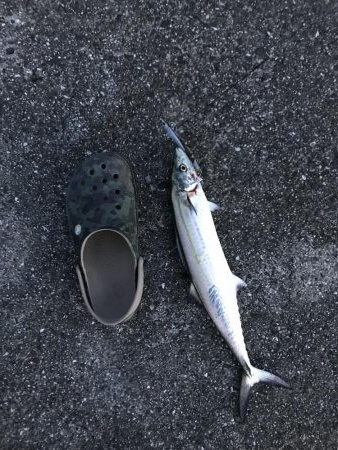 台風前に