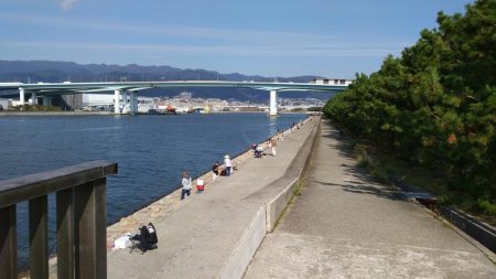 ショアジギングでサバとタケノコメバル