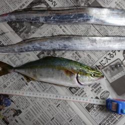 台風前はやっぱり釣れる