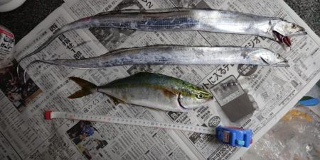 台風前はやっぱり釣れる