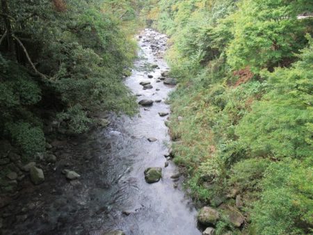 狩野川（狩野川漁業協同組合） 釣果