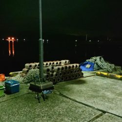 夜のアジ釣り 安芸津周辺