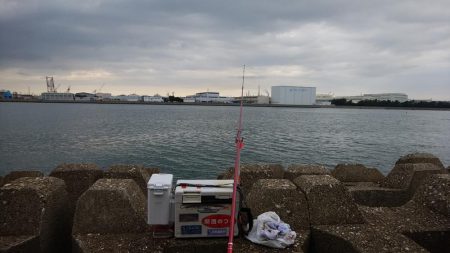 東二見水道で良型キスが釣れました