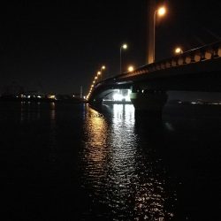南港カモメ大橋 釣行 （渋かったタチウオ釣り、F3～F3.5 釣果）