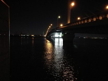 南港カモメ大橋 釣行 （渋かったタチウオ釣り、F3～F3.5 釣果）
