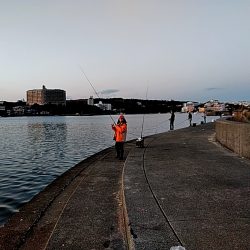 まだまだ　太刀魚釣れてます!!