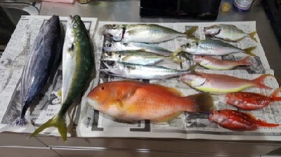 初船釣