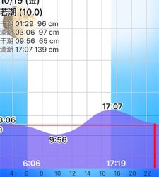 大阪湾奥アジング 渋め