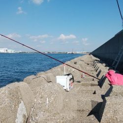 東二見水道で良型キスが釣れました