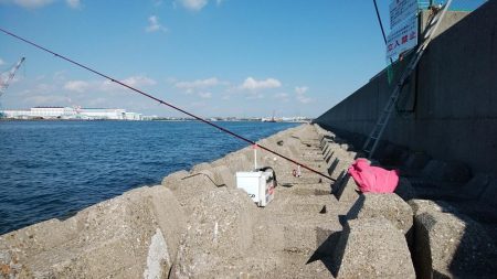 東二見水道で良型キスが釣れました