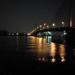 台風後の南港カモメ大橋ヘチ釣行 （好釣果 真チヌ36ｃｍ、キビレ39ｃｍ、ガシラ、釣果有り）