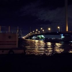 南港カモメ大橋 釣行 （タチウオ釣り、F3～F3.5 釣果有り）