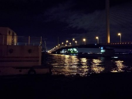 南港カモメ大橋 釣行 （タチウオ釣り、F3～F3.5 釣果有り）