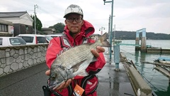 まこと渡船 釣果