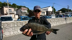 まこと渡船 釣果