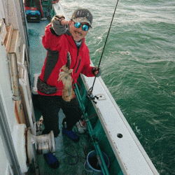 清和丸 釣果