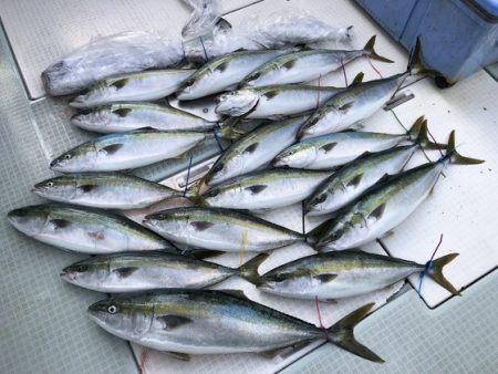 ふじしめ丸 釣果