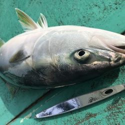 広進丸 釣果