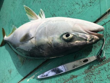 広進丸 釣果