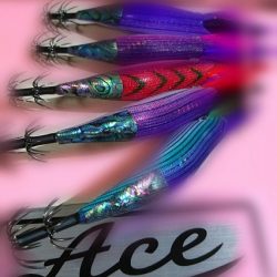 フィッシングボートACE（エース） 釣果