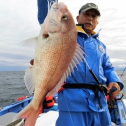 鯛紅丸 釣果