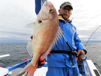 鯛紅丸 釣果