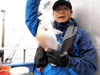 鯛紅丸 釣果