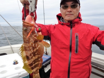 鯛紅丸 釣果