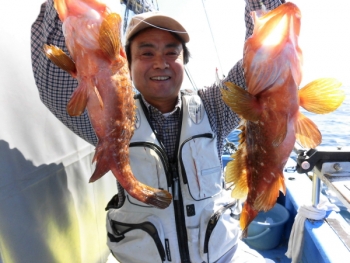 鯛紅丸 釣果