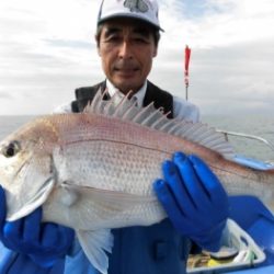 鯛紅丸 釣果