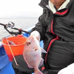 鯛紅丸 釣果