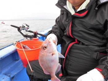 鯛紅丸 釣果