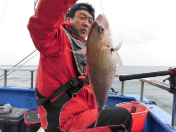 鯛紅丸 釣果