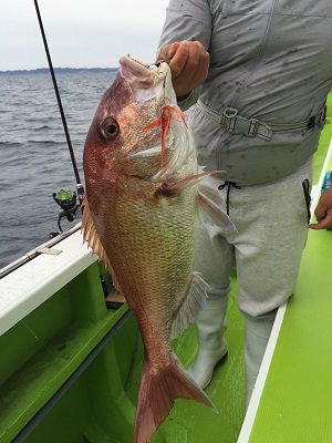 松栄丸 釣果