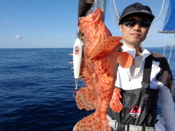 鯛紅丸 釣果