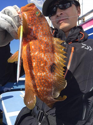 松栄丸 釣果