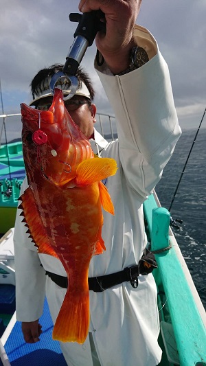 松栄丸 釣果