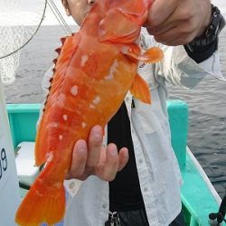 松栄丸 釣果