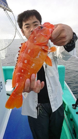 松栄丸 釣果