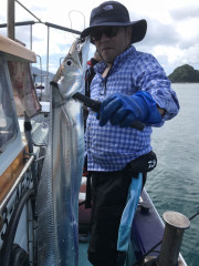 釣船 浦島太郎 釣果