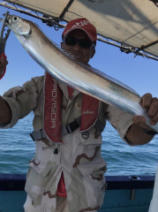 釣船 浦島太郎 釣果